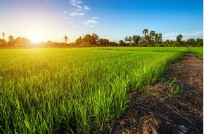 Image de la cat&#233;gorie Petits mat&#233;riels