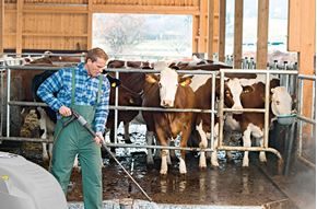 Image de la cat&#233;gorie Pi&#232;ces et accessoires