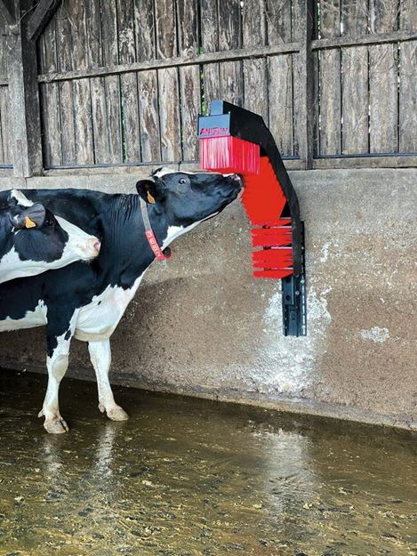 Image sur Brosse ANIZEN en C murale